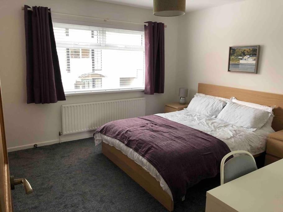 Revamped Holywood Town Centre House公寓 外观 照片